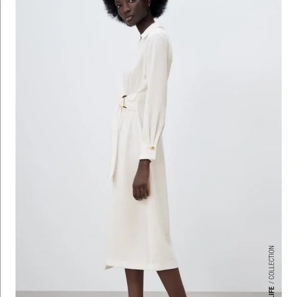 Zara Buckle Midi Dress - Picture 9 of 10